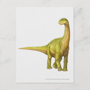 Darstellung eines Camarasaurus Postkarte