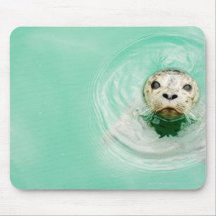 Darstellung eines Siegels im Wasser Mousepad
