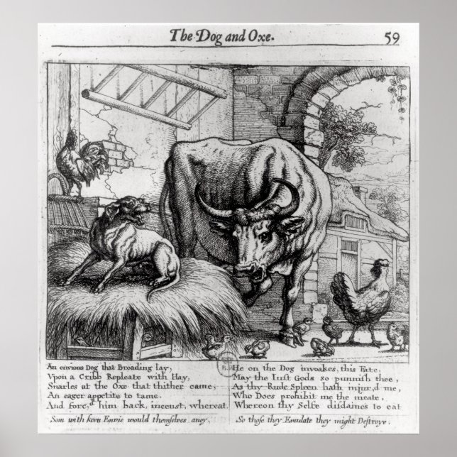 Darstellung für "Der Hund und das Ox" Poster (Vorne)