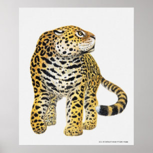 Darstellung von Jaguar mit Kopf in Profil Poster
