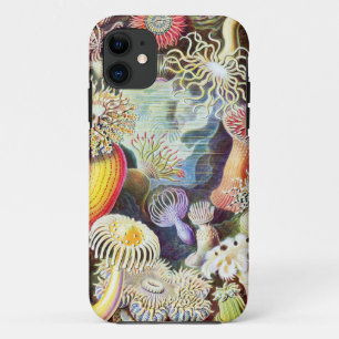 Darstellung von Meeresanemonen durch Ernst Haeckel Case-Mate iPhone Hülle