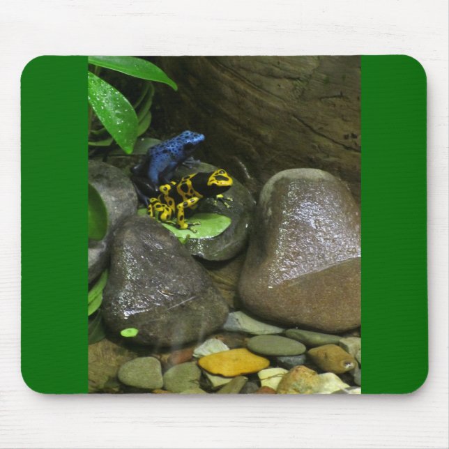 Dart Frog Buddies Mousepad (Vorne)