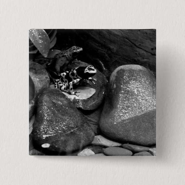 Dart Frog Friends B+W Button (Vorderseite)