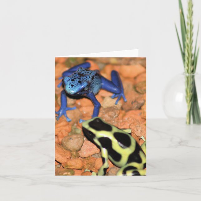 Dart Frosch Note Card Karte (Vorderseite)