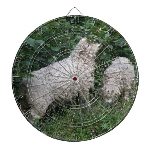 Dartboard für niedliche Schafe - Blätter Dartscheibe (vorne)