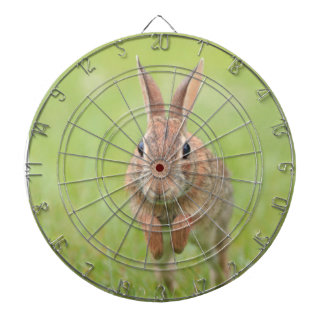 Dartboard mit Hasen-Kaninchen-Bild Dartscheibe