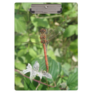 Darter Dragonfly-Clipboard Klemmbrett