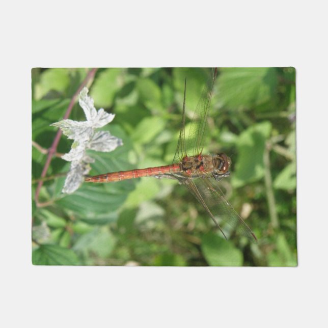 Darter Dragonfly Doormat Fußmatte (Vorderseite)