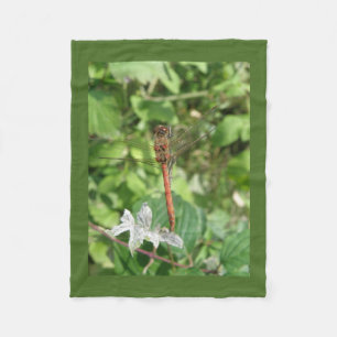 Darter Dragonfly Fleece Blanket