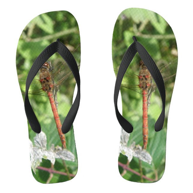 Darter Dragonfly Flip Flops (Fußbett)