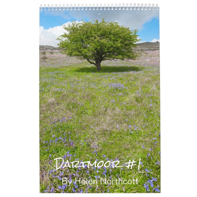 Dartmoor Kalender #1 (Mittel A3) (Titelbild)