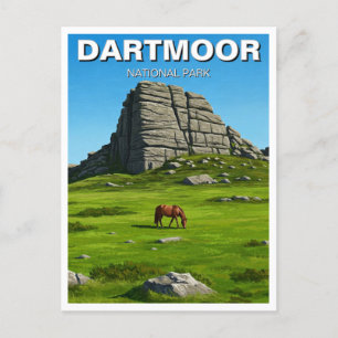 Dartmoor National Park Horse Travel Postkarte