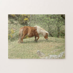 Dartmoor Ponny, Wild English Horses/Britain Puzzle
