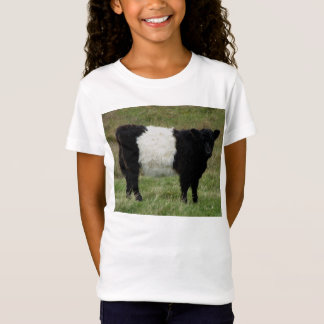 Dartmoor schnallte das Galloway-Kalb-Schauen um T-Shirt