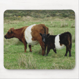 Dartmoor schnallte Gallowaykuh und -kalb um Mousepad