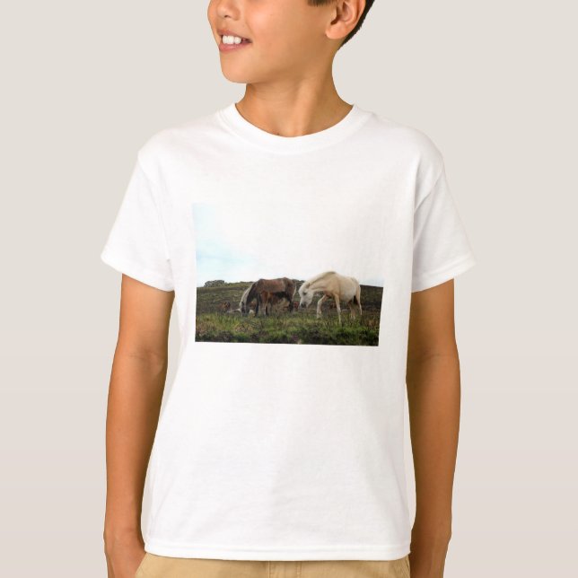 Dartmoor Wild Ponies Kids's Long Sleeved Shirt (Vorderseite)