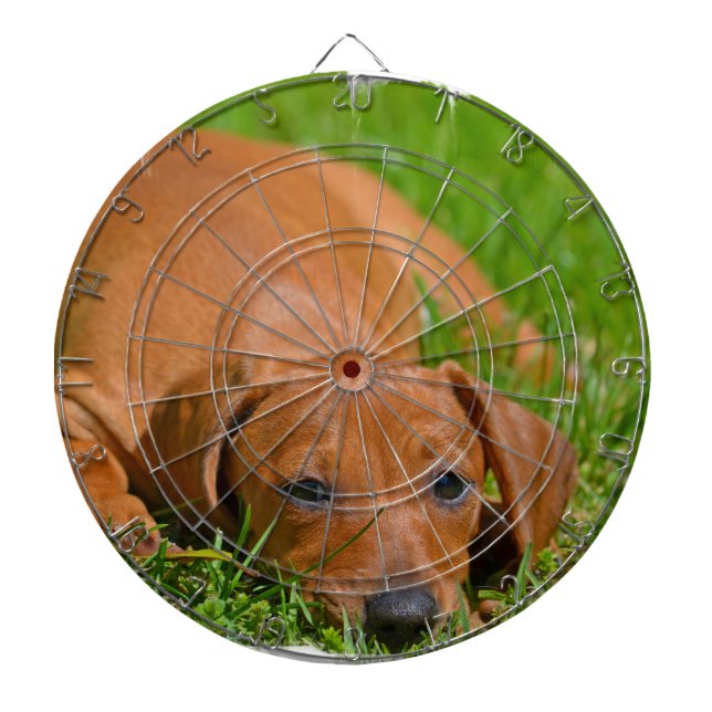 Dartscheibe - besonders angefertigt (vorne)