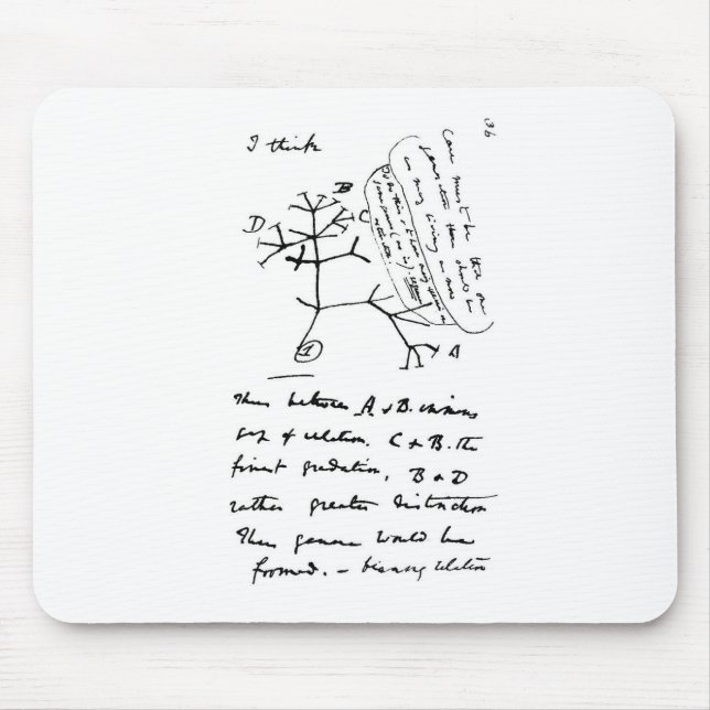 Darwin-Baum Mousepad (Vorne)