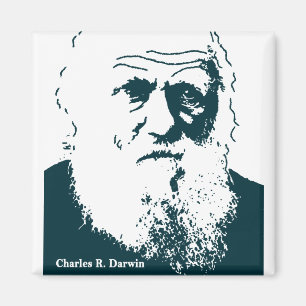 Darwin-Bild. Magnet