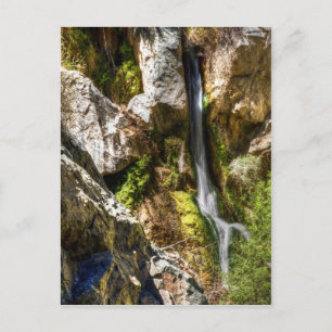 Darwin Falls Postkarte