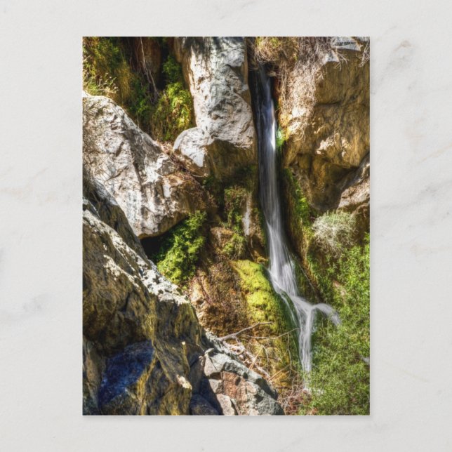 Darwin Falls Postkarte (Vorderseite)