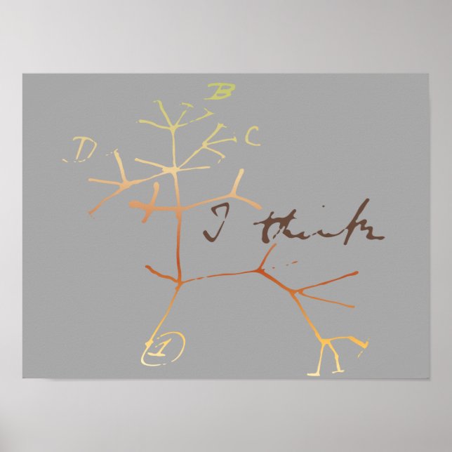 Darwin, ich glaube, der Baum des Lebens Poster (Vorne)