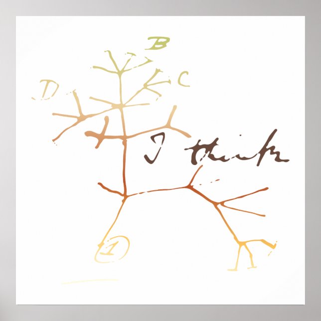 Darwin, ich glaube, der Baum des Lebens Poster (Vorne)
