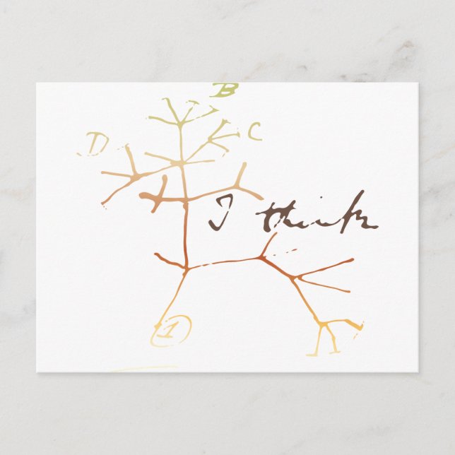 Darwin, ich glaube, der Baum des Lebens Postkarte (Vorderseite)