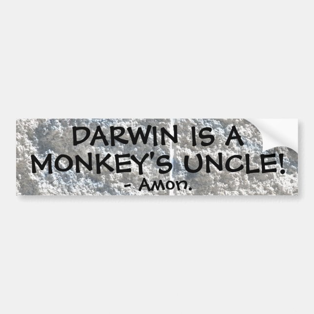 Darwin ist der Onkel eines Affen! Autoaufkleber (Vorne)