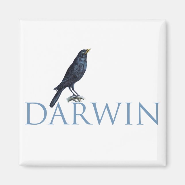 Darwin Magnet (Vorne)