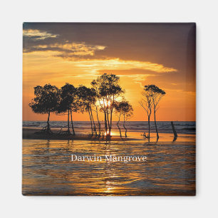 Darwin Mangrove, Australien, Magnet