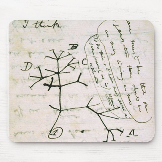 darwin mousepad (Vorne)