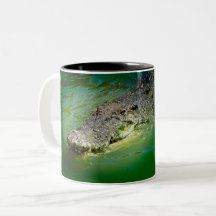 Darwin Northern Territory - Crocodile Tasse