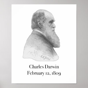 Darwin-Plakat Poster