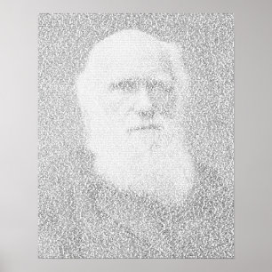 Darwin-Portrait aus dem Text "Herkunft der Arten" Poster