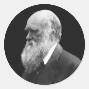 Darwin Portrait Round Stickers
