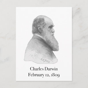 Darwin Postcard Postkarte
