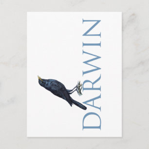 Darwin Postkarte