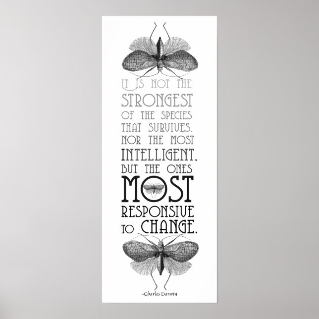 Darwin Quote Evolution Poster (Vorne)