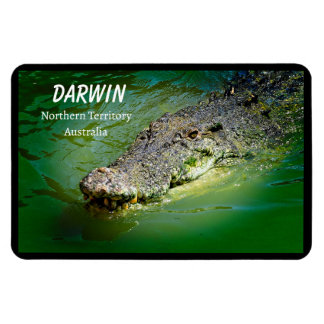 Darwin Saltwater Crocodile Magnet