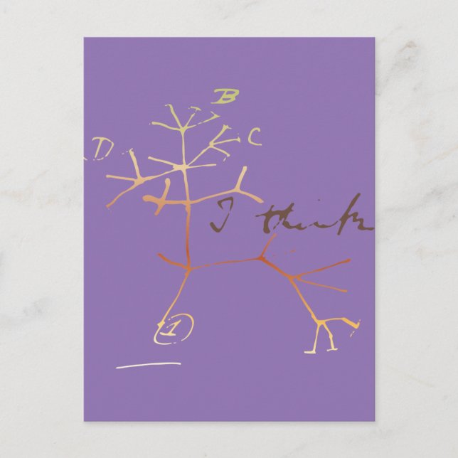 Darwin tree of life postkarte (Vorderseite)