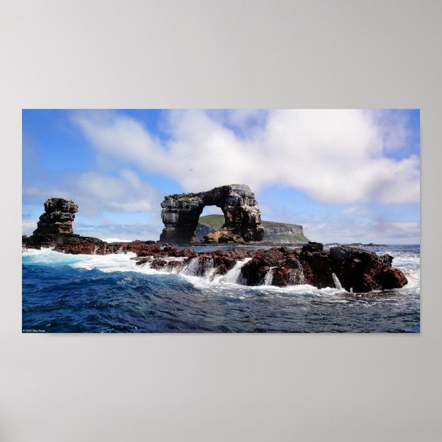 Darwins Arch auf den Galapagos-Inseln Poster (Vorne)