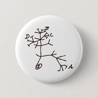 Darwins Baum Button