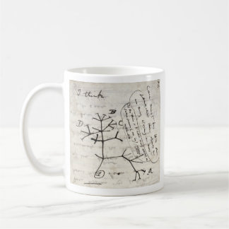 darwin's notebook kaffeetasse