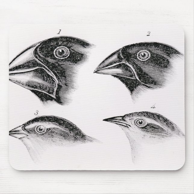 Darwins Vogelbeobachtungen Mousepad (Vorne)