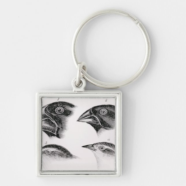 Darwins Vogelbeobachtungen Schlüsselanhänger (Vorne)