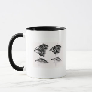Darwins Vogelbeobachtungen Tasse