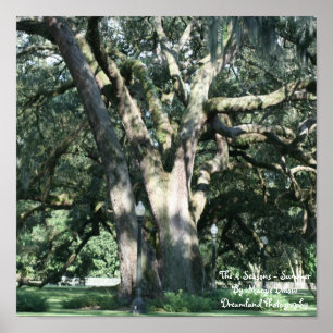 Das 4-Saisons-Sommer-Poster Poster