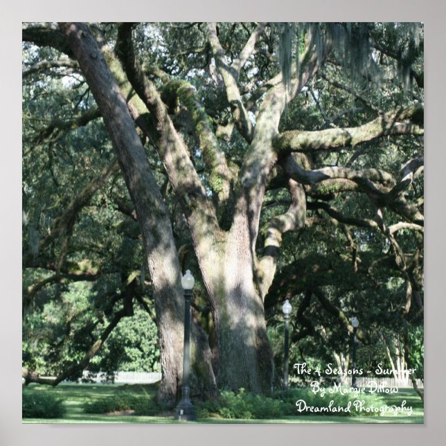 Das 4-Saisons-Sommer-Poster Poster (Vorne)