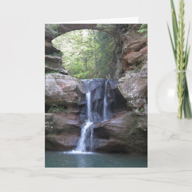 Das Abendessen-Fälle des alten Mannes Karte (Vorderseite)